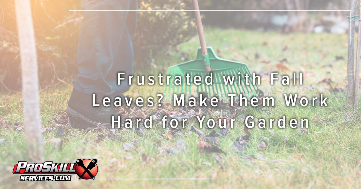 Frustrated with Fall Leaves? Make Them Work Hard for Your Garden 